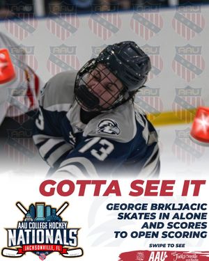 Image post by @aau_collegehockey on Instagram