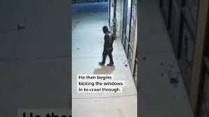 Video post by @kmphfox26 on YouTube
