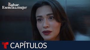 Video post by @telemundo on YouTube