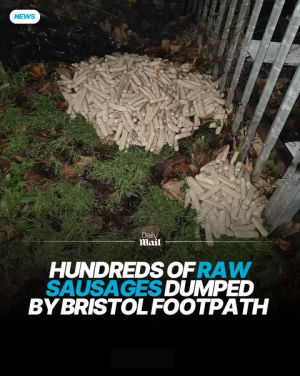 Image post by @dailymailuk on TikTok