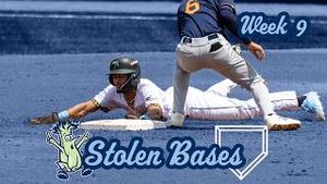 Video post by @wilmbluerocks on YouTube