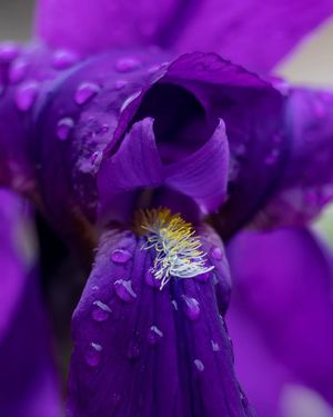 Image post by @Jshfoto on Facebook