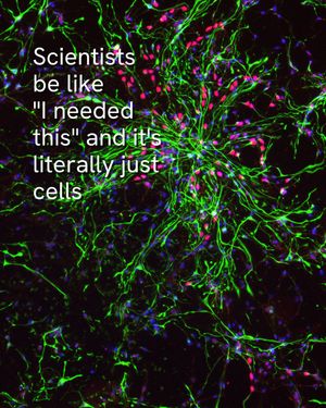 Image post by @biohub on Instagram