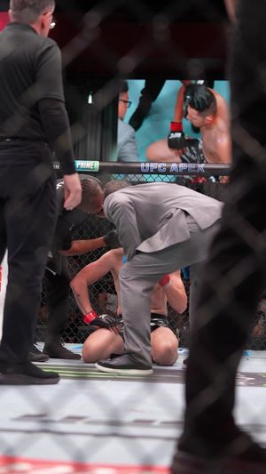 Video post by @ufc on TikTok