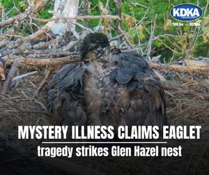 Image post by @kdkaradio on Instagram