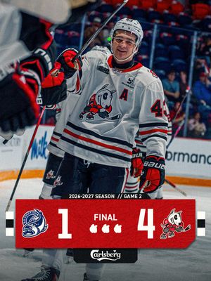 Image post by @ohlicedogs on Instagram