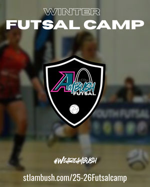 Image post by @stlouisambush on Instagram