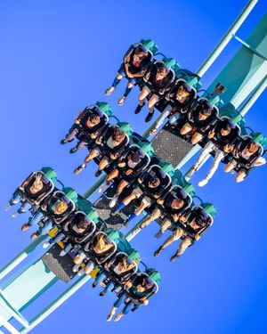Image post by @seaworldsandiego on Instagram