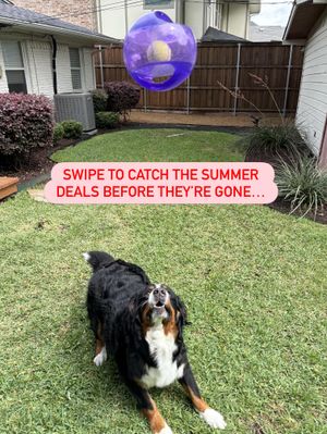 Image post by @petsmart on Instagram