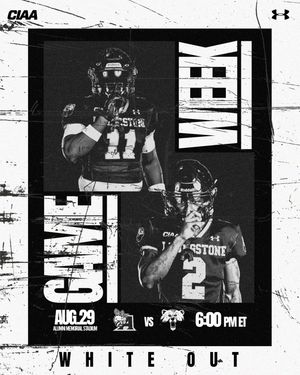 Image post by @bluebearathletics on Instagram