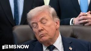 Video post by @msnbc on YouTube