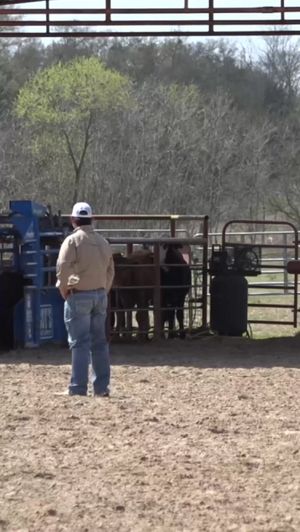 Video post by @12NewsNow on Facebook
