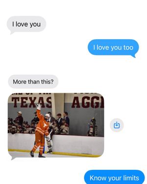 Image post by @texasicehockey on Instagram