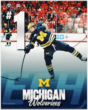 Image post by @everythingcollegehockey on Instagram