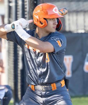 Image post by @axcess_baseball on Instagram