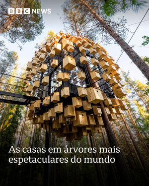 Image post by @bbcbrasil on Instagram