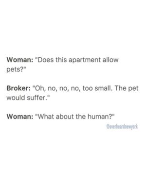 Image post by @overheardnewyork on Instagram
