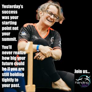 Image post by @susangarrettdogsthat on Instagram