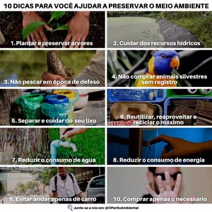 Image post by @operitoambiental on Instagram