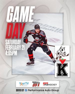 Image post by @ohlicedogs on Instagram