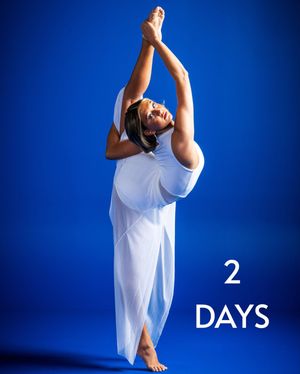 Image post by @byucougarettes on Instagram