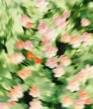 Image post by @unsplash on Instagram