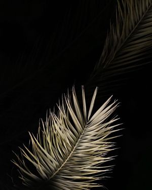 Image post by @_dc.visuals on Instagram