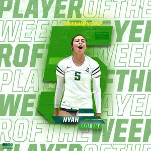 Image post by @sbastetsonu on Instagram