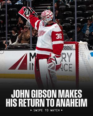 Image post by @nhl on Instagram