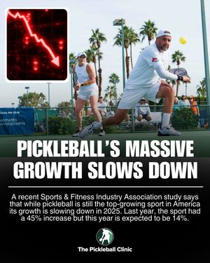 Image post by @thepickleballclinic on Instagram