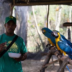 Image post by @fundacionloros on Instagram