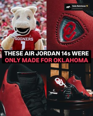Image post by @soleretriever on Instagram