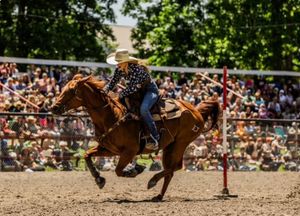 Image post by @cowgirlmagazine on Instagram