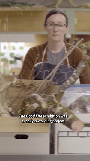 Video post by @oaklandmuseumca on TikTok