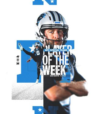 Image post by @panthers on Instagram