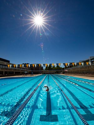 Image post by @uofifs on Instagram