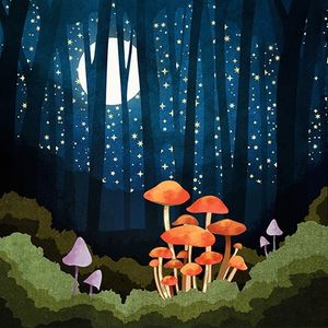 Image post by @spacefrogdesigns on Instagram