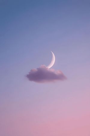 Image post by @inkvoyagestudio on Instagram