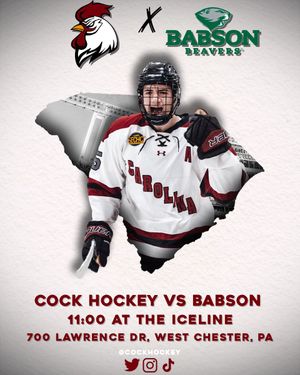 Image post by @CockHockey on Twitter