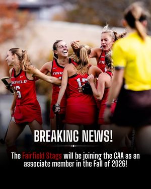 Image post by @thefhockeyanalyst on Instagram