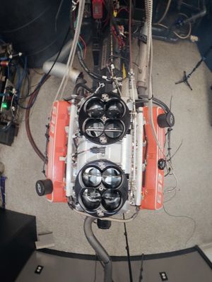Image post by @thehoonigans on Instagram