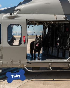 Image post by @victoriapolice on Instagram