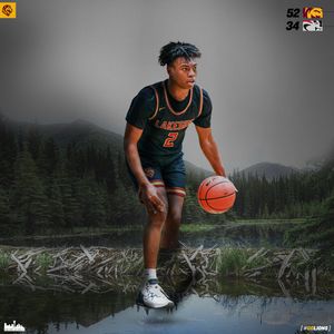 Image post by @LakesideLionsBB on Twitter