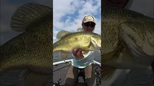 Video post by @lakeforkguy on YouTube