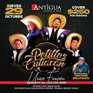 Image post by @pelillosdeculiacan on Instagram