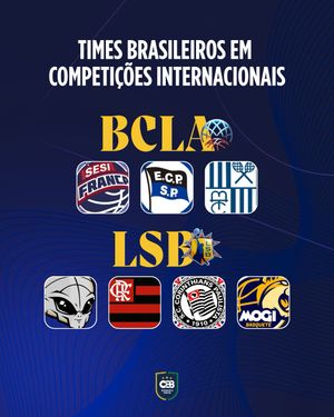 Image post by @basquetebrasil on Instagram