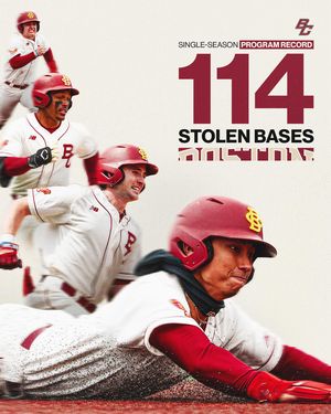 Image post by @bcbirdball on Instagram
