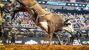 Video post by @pbr on YouTube