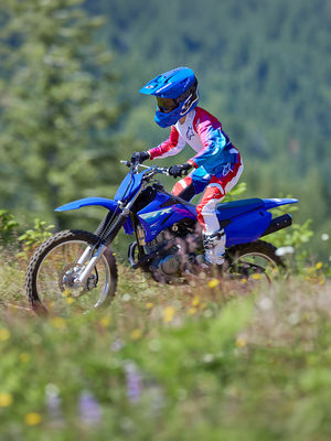 Image post by @yamahamotoraus on Instagram