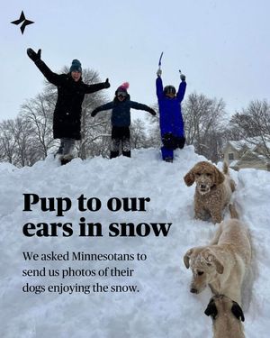 Image post by @startribune on Instagram